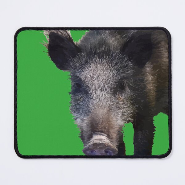 Item preview, Boar Making Eye Contact Vector Art designed and sold by taiche.