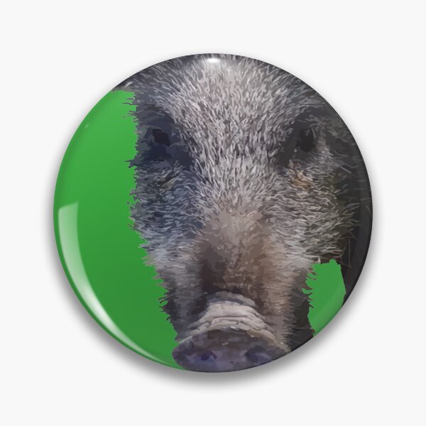 Artikelvorschau, Wildschwein Blickkontakt Vektorgrafiken entworfen und verkauft von taiche.