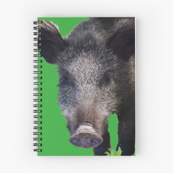 Item preview, Boar Making Eye Contact Vector Art designed and sold by taiche.
