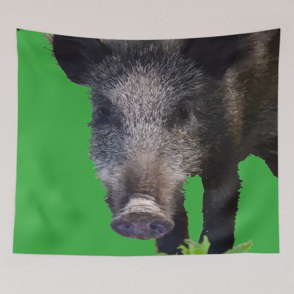 Item preview, Boar Making Eye Contact Vector Art designed and sold by taiche.