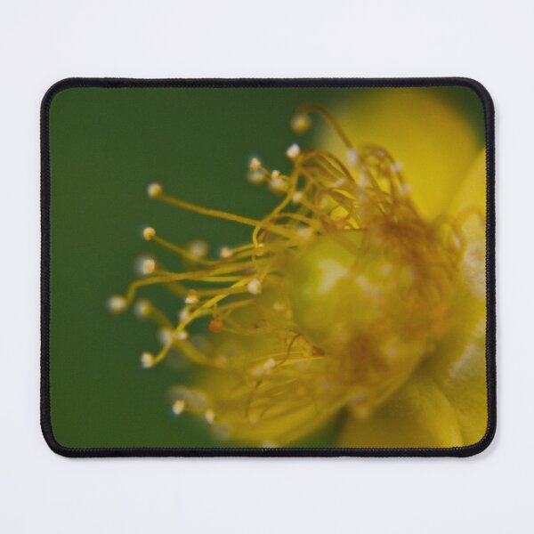 Item preview, Yellow flower designed and sold by HAPhotography.