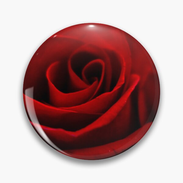 Artikelvorschau, Red Rose entworfen und verkauft von HAPhotography.