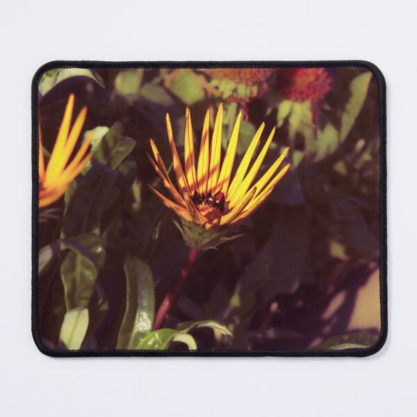 Item preview, marigold flowers designed and sold by Francespoppy.