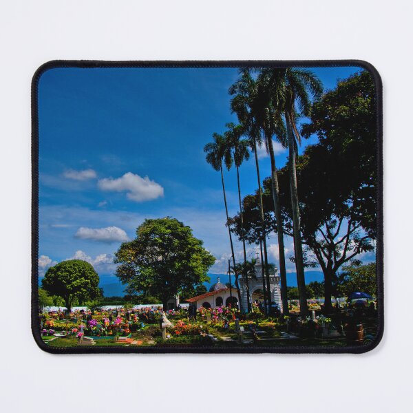 Item preview, Caring For The Dearly Departed designed and sold by alabca.