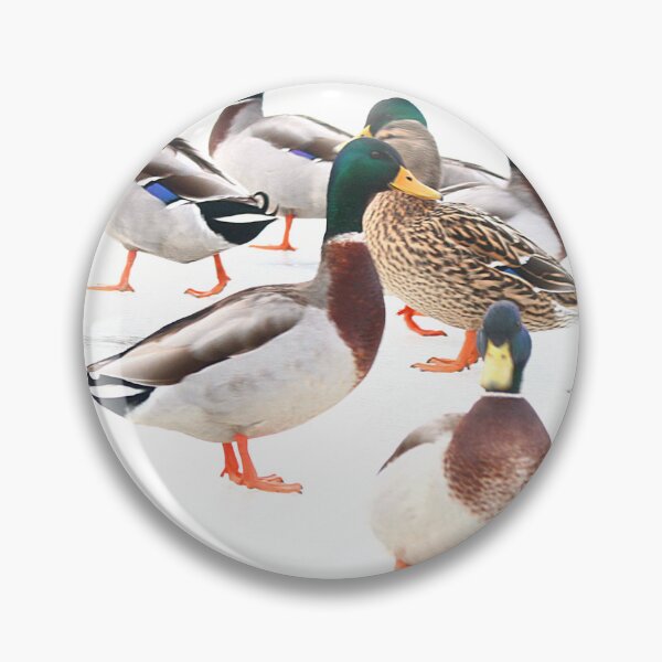 Item preview, The Duck Pond designed and sold by HAPhotography.