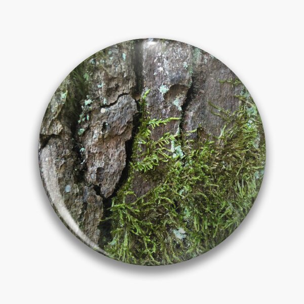 Artikelvorschau, Alte Baumrinde mit grünem Moos entworfen und verkauft von AdioraStore.