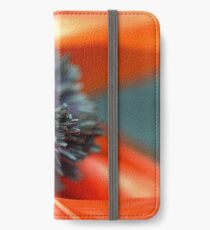 Ruin iPhone Wallet/Case/Skin