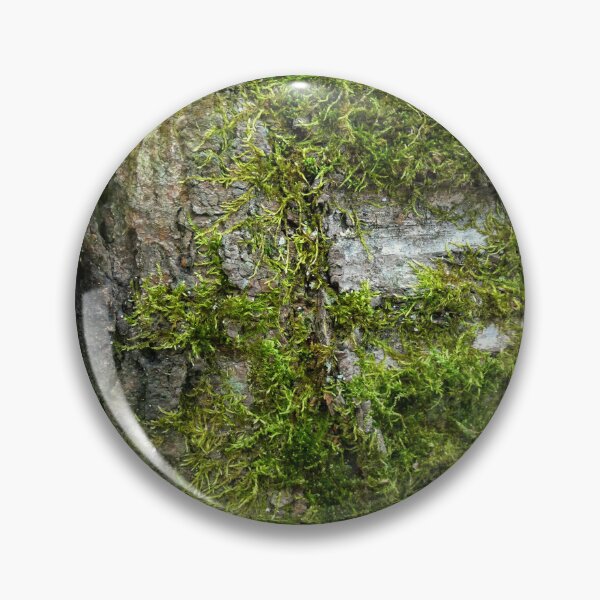 Artikelvorschau, Alte Baumrinde mit grünem Moos entworfen und verkauft von AdioraStore.