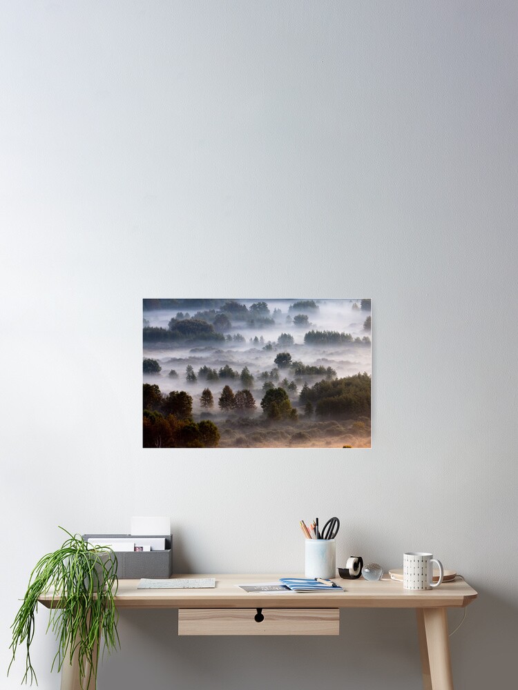 Thumbnail 2 of 3, Poster, Trees in the morning mist - 1 designed and sold by pietrofoto.