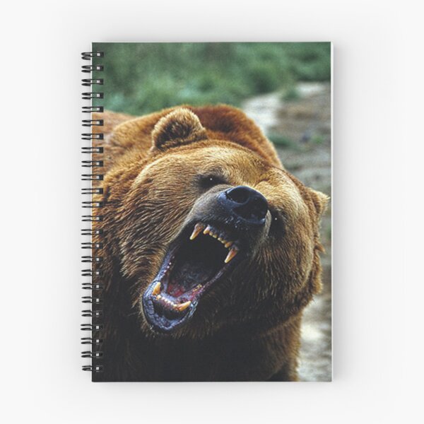 Item preview, Grizzly Bear ★ designed and sold by JOSBLADE.