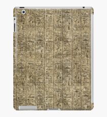Egyptian Hieroglyphics iPad Case/Skin