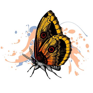 Magnificent Butterfly Sticker