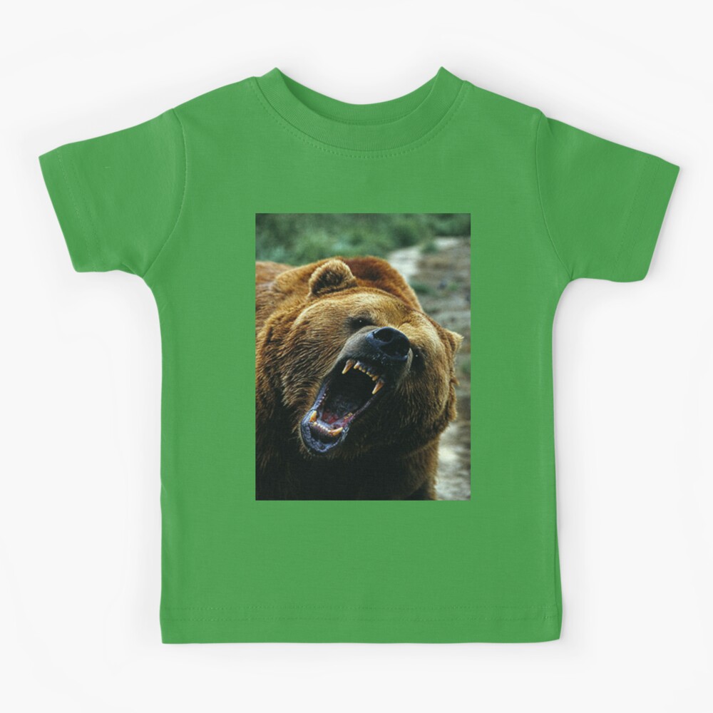 Grizzly Bear ☆