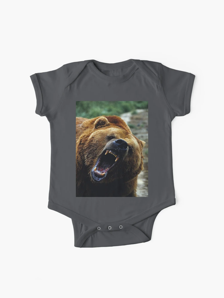 Shorty Grizzly Bear