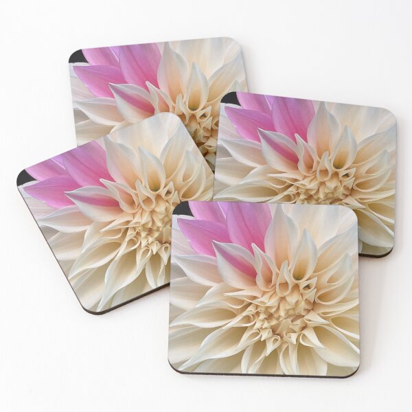 Item preview, Cafe Latte Dahlia with pink designed and sold by CotswoldCottage.