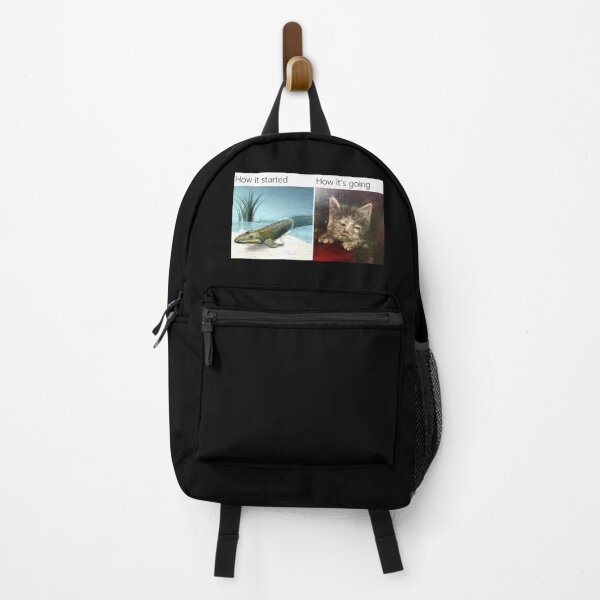Item preview, How it started VS How it is going (Evolution Meme) - Thanksgiving, Christmas And Birthday Party Gift Ideas for Classic Memes Lovers and Fans designed and sold by Memeing Everything.