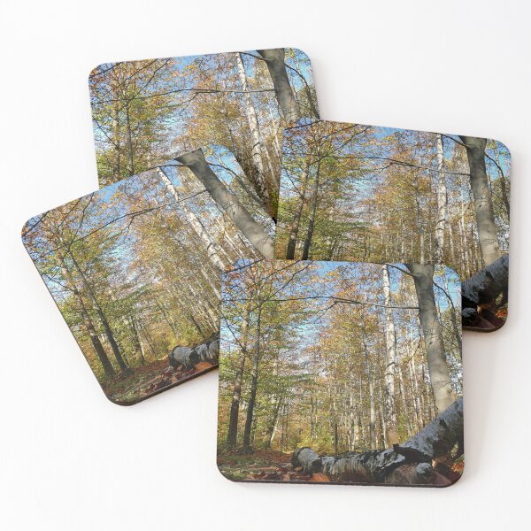 Item preview, Birch and beech forest designed and sold by AdioraStore.