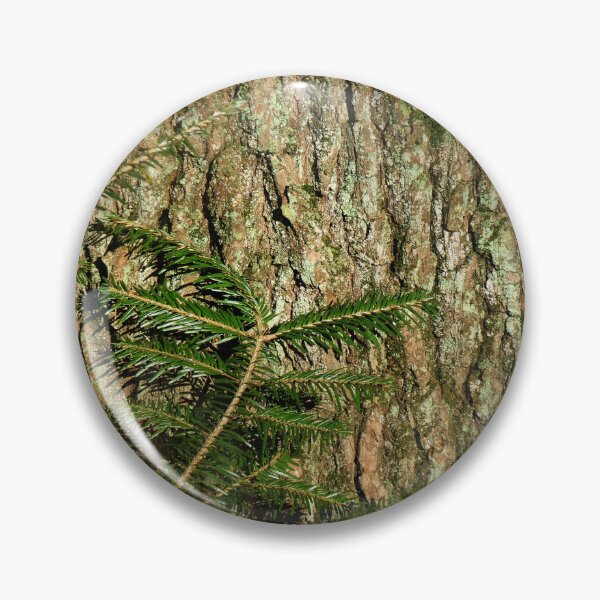 Artikelvorschau, Alter Baum und Tannenzweige entworfen und verkauft von AdioraStore.