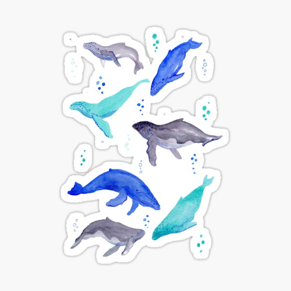 A whale of a time- diving humpback whales Sticker