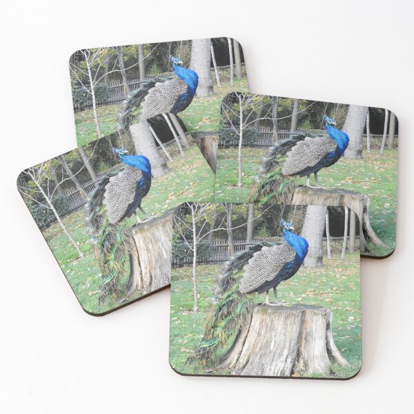 Item preview, Peacock posing on top of tree stump designed and sold by TwistedClassics.