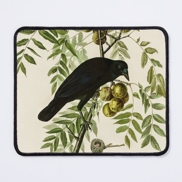 Item preview, Plate 156 American Crow - John James Audubon Art Prints designed and sold by TheSoulOfArt.