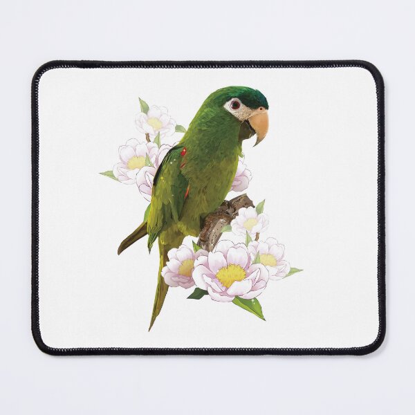Item preview, The noble macaw designed and sold by obscurite.