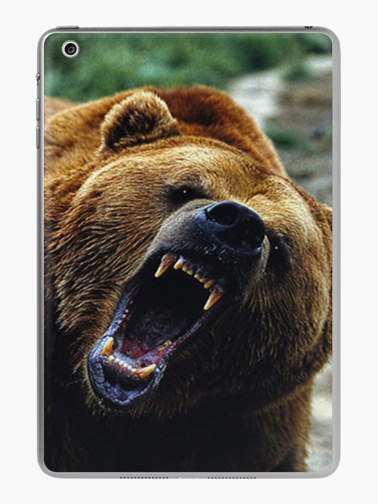 Menacing Grizzly Magnet for Sale by Sisbam