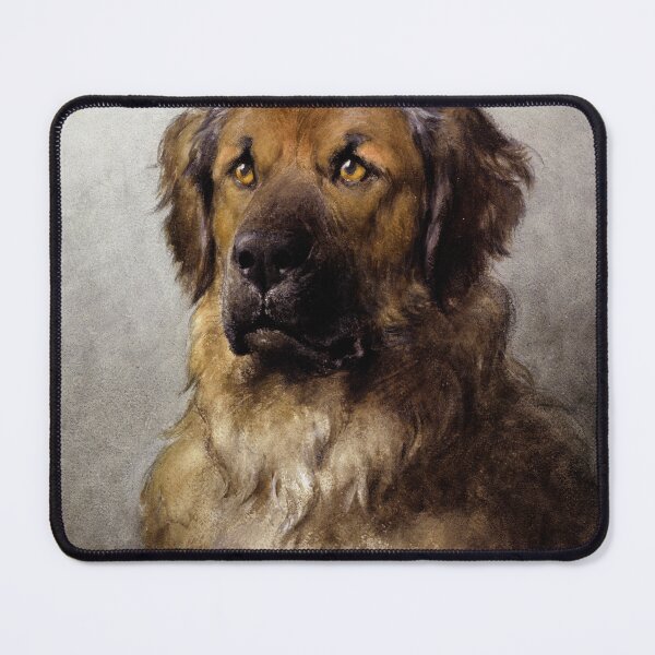 Item preview, Head of Leonberger circa 1880-1892 Framed Art Print designed and sold by DarlingMeadow.