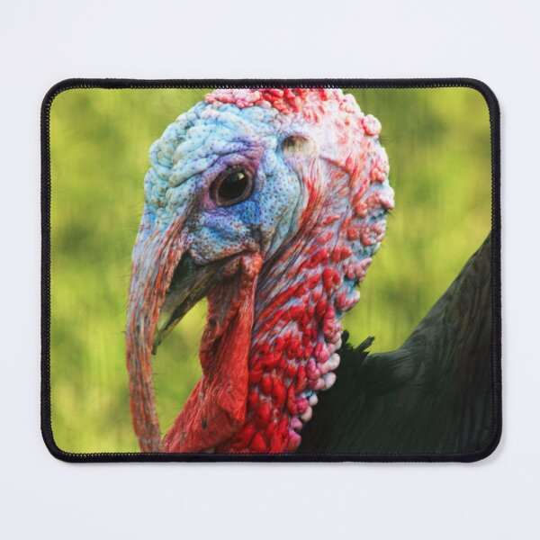 Item preview, turkey portrait designed and sold by Francespoppy.