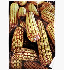 maize Poster