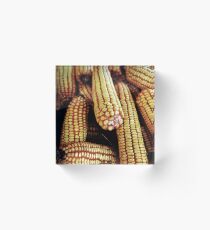 maize Acrylblock