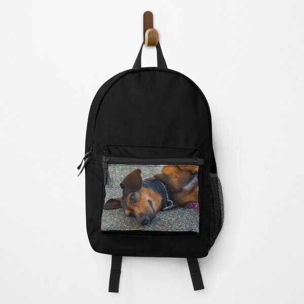 Item preview, Dog Napping designed and sold by likbatonboot.