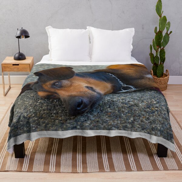 Item preview, Dog Napping designed and sold by likbatonboot.
