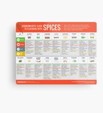 Cook Smarts' Guide to Flavoring with Spices Metal Print