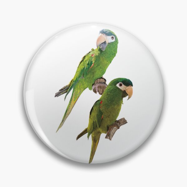 Item preview, The noble macaw designed and sold by obscurite.