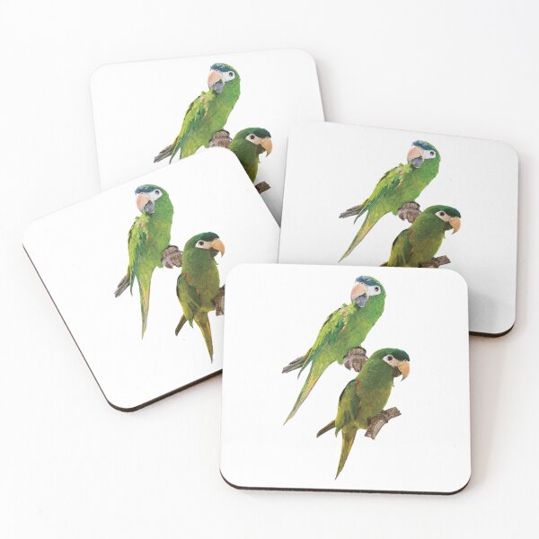 Item preview, The noble macaw designed and sold by obscurite.