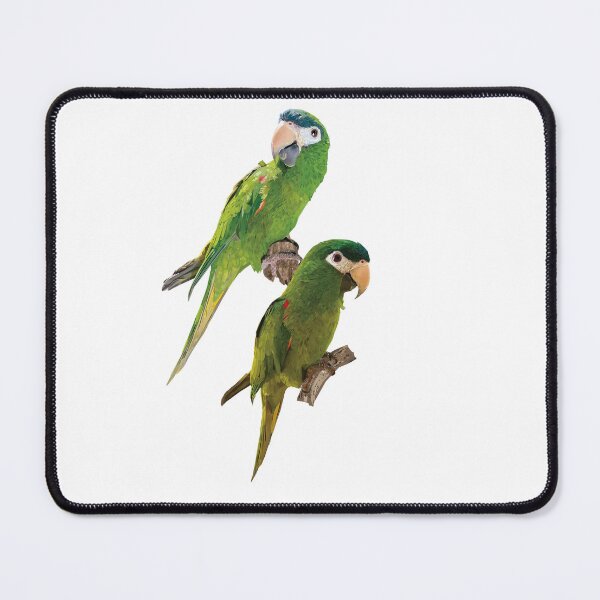 Item preview, The noble macaw designed and sold by obscurite.