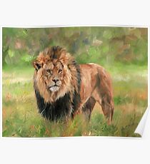 Lion Poster