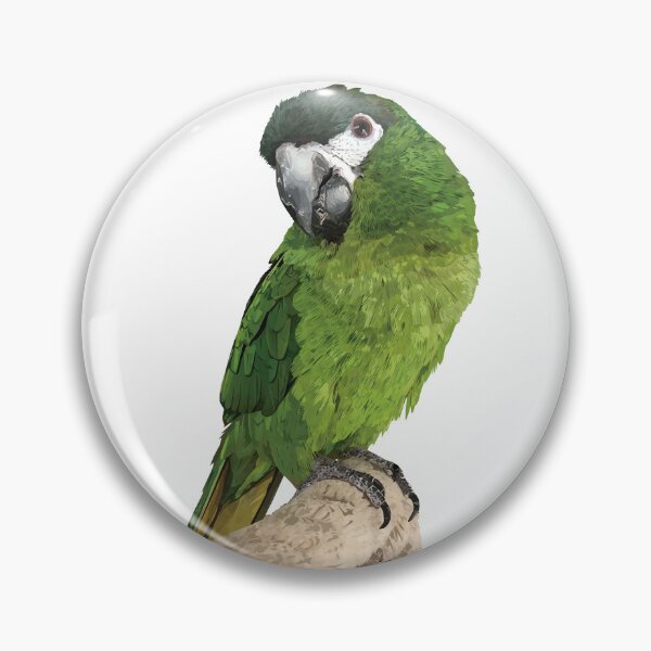 Item preview, The noble macaw designed and sold by obscurite.