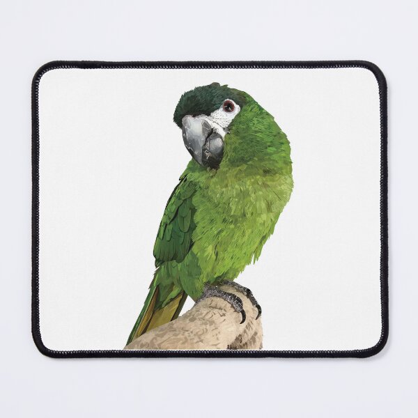 Item preview, The noble macaw designed and sold by obscurite.