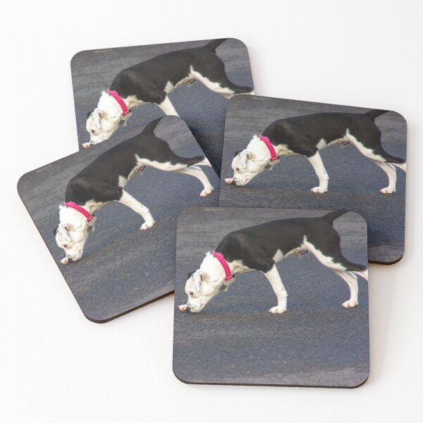 Item preview, black and white puppy designed and sold by Francespoppy.