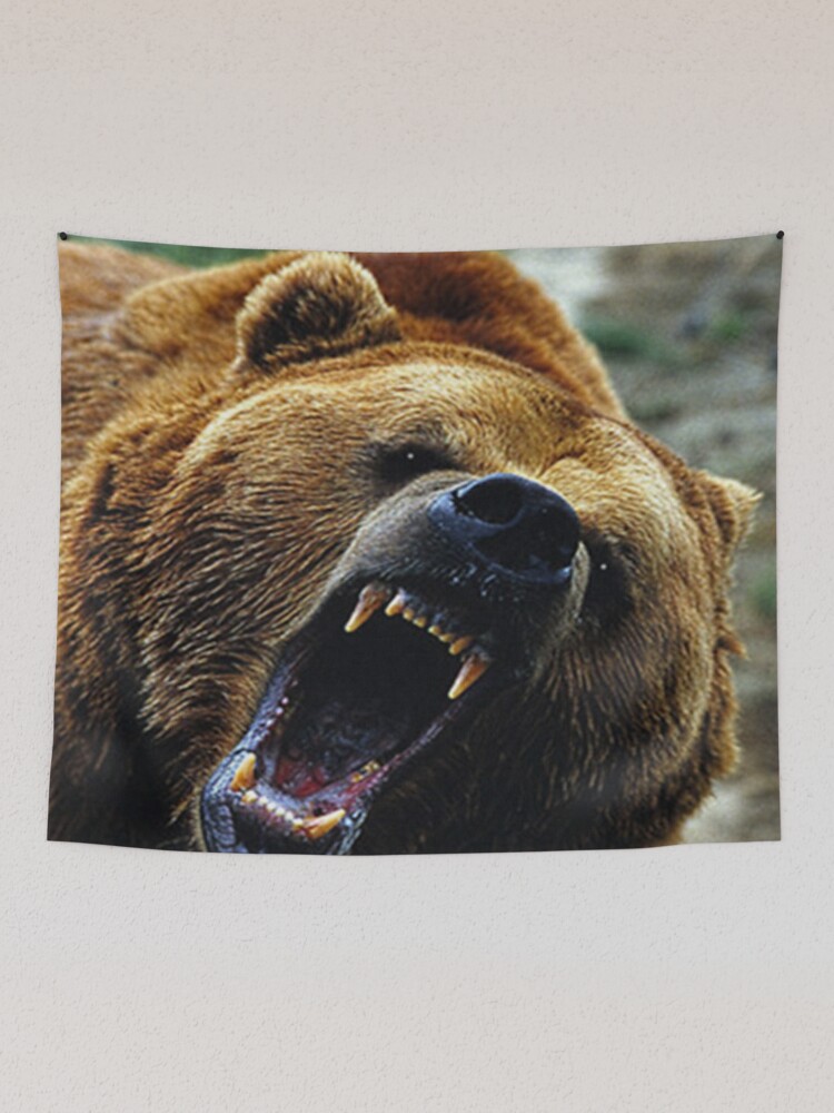 Menacing Grizzly Magnet for Sale by Sisbam