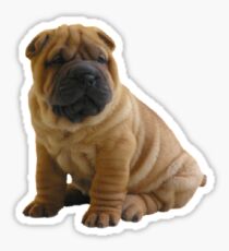 Shar Pei Sticker