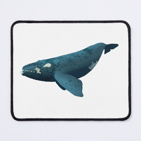 Item preview, Southern right whale designed and sold by TheNewAmericana.