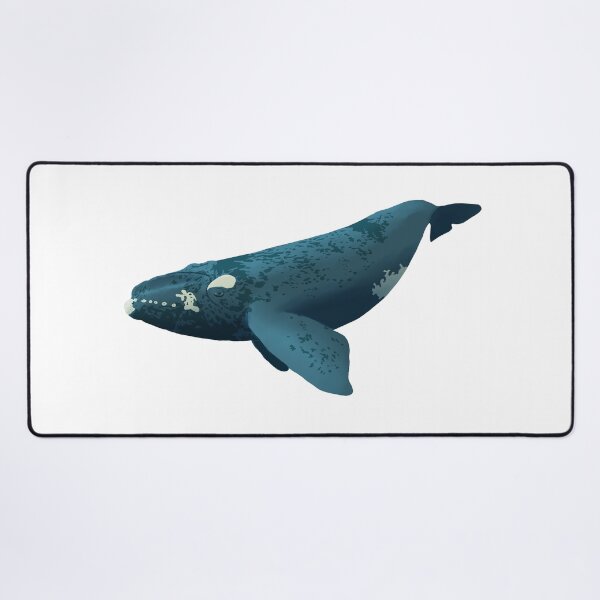 Item preview, Southern right whale designed and sold by TheNewAmericana.