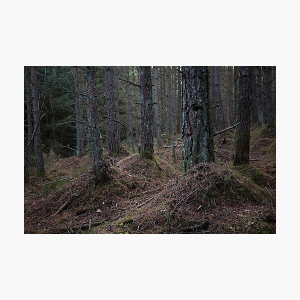 Item preview, bennachie forest designed and sold by codaimages.