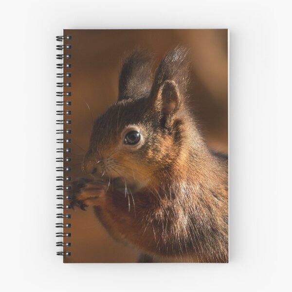 Item preview, Young Red Squirrel  designed and sold by Great North Views.