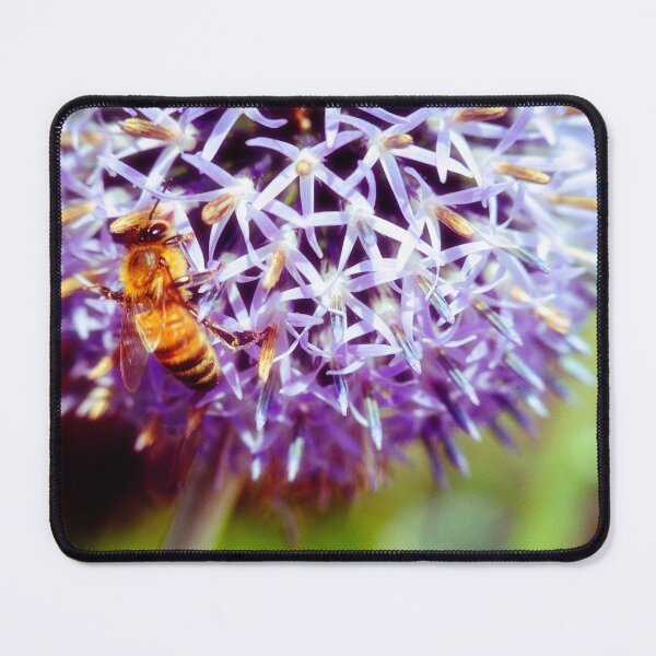 Item preview, Bee On Small Globe Thistle 3  designed and sold by Robert Alsop.