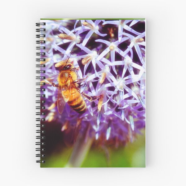 Item preview, Bee On Small Globe Thistle 3  designed and sold by Robert Alsop.