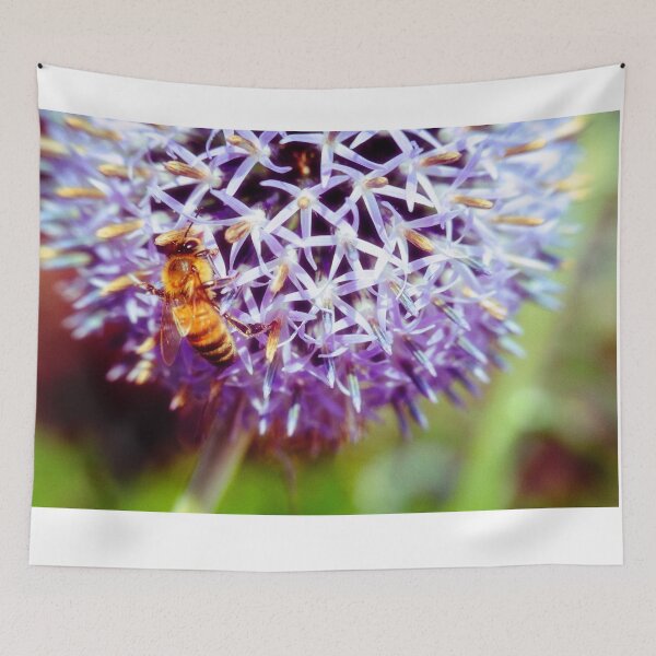 Item preview, Bee On Small Globe Thistle 3  designed and sold by Robert Alsop.